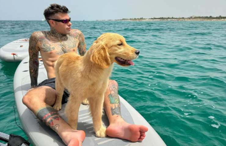 Fedez e Silvio