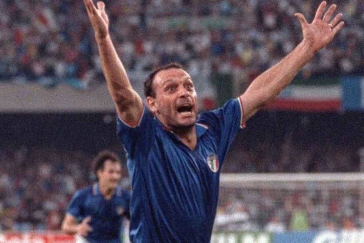 schillaci T