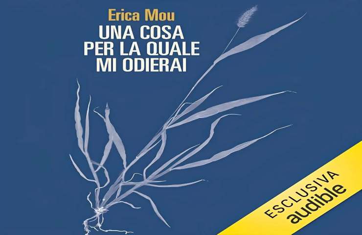 Libro di Erica Mou